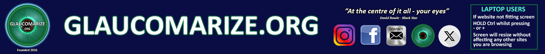 Glaucomarize.org